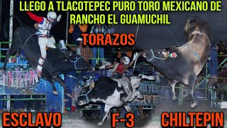 ¡Llego Rancho el Guamuchil a Tlacotepec Pue. Pura linea Mexicana toros famosos y futuras estrellas!