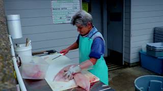 Halibut Fishing | Depoe Bay