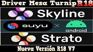 Driver Mesa Turnip v24.1.0 R18 v2