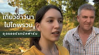 เกี่ยวข้าวนาไม่ไถพรวน ได้เห็นการเปลี่ยนแปลงดินอย่างชัดเจน | Udon Organic Farm