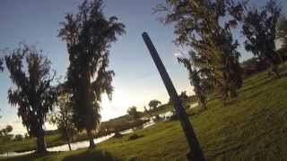 First Phase Dove Hunt Florida 2014