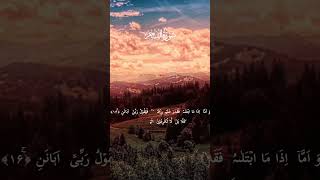 Quran Majid ki surah-ul-fajar 🥀✨ me|| #shortvideo #duet #surahyusufonlyqurantarju