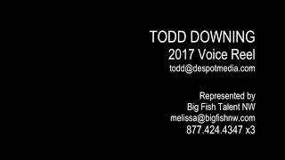 Todd Downing 2017 Voice Reel