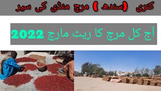 Visit Kunri (Sindh) Hybrid Chilli Mandi