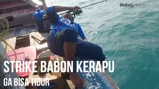 STRIKE BABON KERAPU BIKIN GA BISA TIDUR