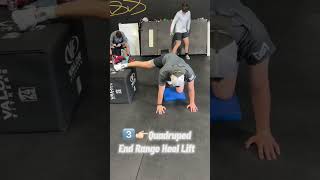 Must Do Hip Mobility Exercises For Pitchers