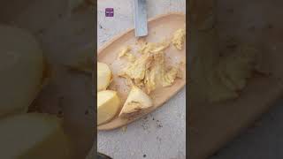 CASU MARZU | CASU MODDE