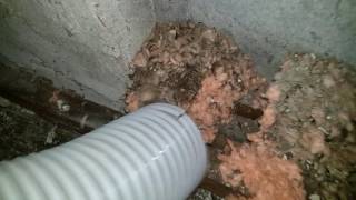 Sucking up contaminated insulation