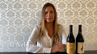 Conosciamo il Nebbiolo: il vino dei re - Degustazione Cantina Ratti