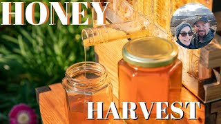 Is it time to harvest our very first honey?