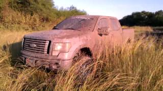 2011 F-150 FX4 5.0 and 2012 F-150 XLT 5.0