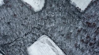 WINTER IN PA FROM THE SKY SNOW WILDLIFE DJI MINI 2