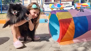 Primeira vez do Jack no PraCão Pet Park! Spitz Lulu da Pomerânia Preto Pomeranian