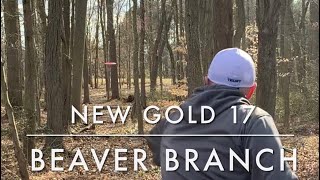 New Gold Hole 17 Beaver BRANCH DGC!