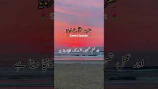 Hazrat Ali Best Quotes ILam Or Amal Me Farq #shorts #youtubeshorts #viral #short