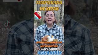 🍄🍁¡¡¡NO A LOS CHIRINGUITOS DE APROVECHAMIENTOS MICOLÓGICOS ECOLOJETAS!!!🍁🍄