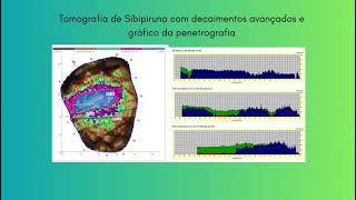 Tomografias e Penetrografias Realizadas em Sibipirunas no Município de São José dos Campos   SP