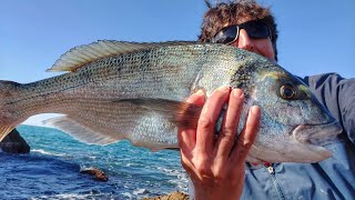 Eging, jigging, tenya y pesca a la espuma. Resumen de 3 jornadas invernales.