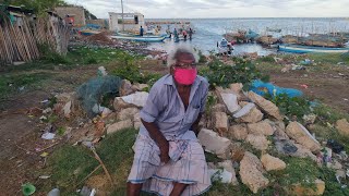 Srilankan fisherman market in morning | யாழ்ப்பாண மீன் சந்தை  | යාපනේ මාළු වෙළද පොළ