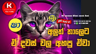 Shaa fm sindu kamare  nonstop 2023 | best sinhala  song collection 10 | aluth sindu ඉස්සර  පරණ මතක