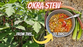 A Simple, Summer Okra Stew, So Good || DHBG