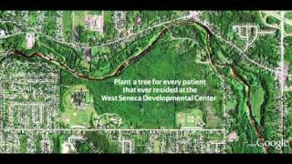 Reforest West Seneca. Sounds good to me.