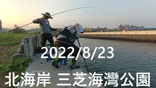 【北海岸海釣】北海岸 三芝海灣公園釣況(Sanzhi Bay Park) 2022/8/23 #釣魚 #北海岸 #三芝區 #三芝海灣公園 #打母光 @fox54088