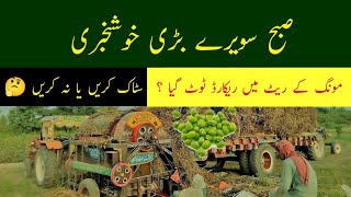 Faisalabad moong ka rate / Moong rate/ Moong rate in Punjab/ Moong rate in Pakistan Today