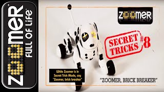 Zoomer | Secret Trick | Brick Breaker