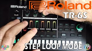 Roland TR-6S: modalità Step Loop by Andrea Maio