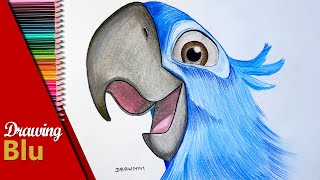 Blu Drawing | How To Draw Blu From The Movie Rio