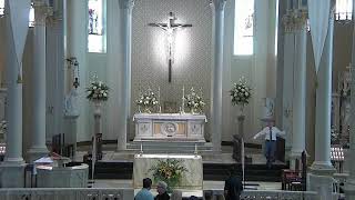 STMM Mass - Sunday, June 16, 2024