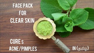 🎯5நிமிடத்தில் உங்க முகம் மின்ன இந்த இலை 🍃போதும் #beautytips #facebrighteningpack faceglowing tips