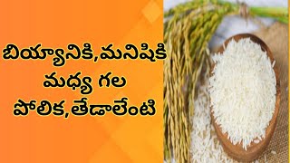 What is the difference and similarity between man and Rice grain // motivational video