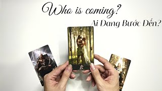 ✨Ai đang bước đến với bạn?🔮 (Timeless) | The Merlin Tarot