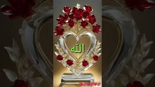 Allah rohomot koruk allah #foryou