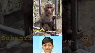 The monkey 🐒 is eating 😭😔#shorts #trending #viral #animal #youtubeshorts