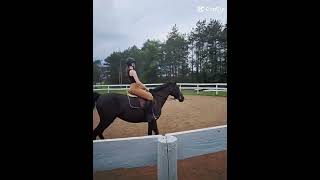 another edit #horse #horseriding #shortvideos #dressage #horsebackriding #jumping #riding #shorts