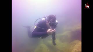 20181111   Mergulho Angra dos Reis