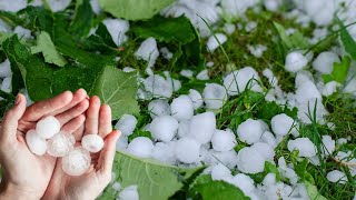 Sudden hailstorm | دھوپ میں بارش | Village Life | धूप में बारिश