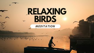 Meditation: RELAXING BIRDS  | Mindful Relaxing Music Therapy