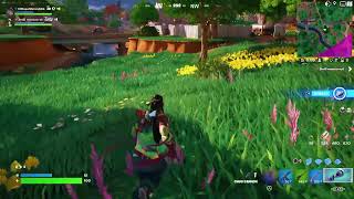 Fortnite stream