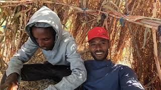 Farming in the villages of Ethiopia. 🇪🇹