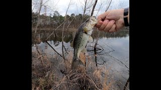 This is why you always set the hook like a boss! Fishing with a NED RIG!