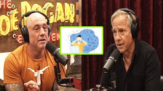 Joe Rogan: Making Sense of Complexity in the Information Age| Mike Rowe