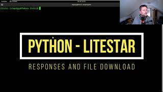 Python - Litestar - Responses and File Download