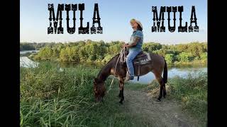 MULA MULA