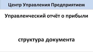 ЦУП Видео №05. Структура Управленческого отчёта о прибыли