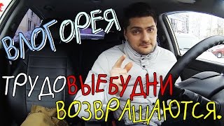 ВЛОГорея. ТрудоВыебудни Возвращаются