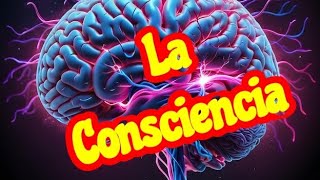 ✅️  Consciencia